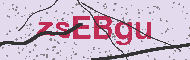 Ungültiger Sicherheitscode