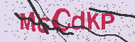 Ungültiger Sicherheitscode